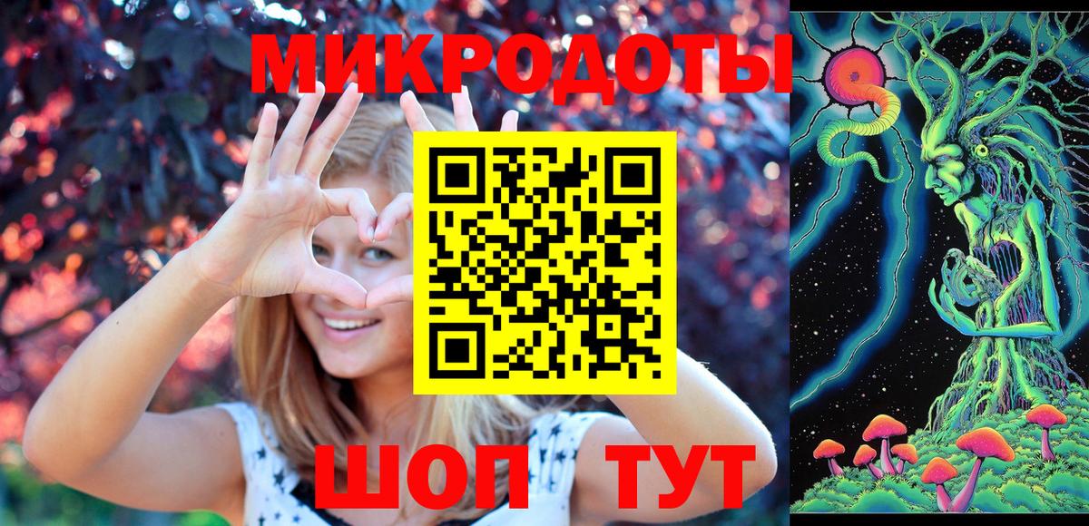 Котовск  Галлюциногенные грибы Cubensis  Вход с VPN 