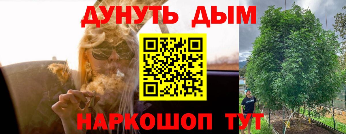 Котовск  Канабис сатива  Канабис OG Kush  Вход с VPN 